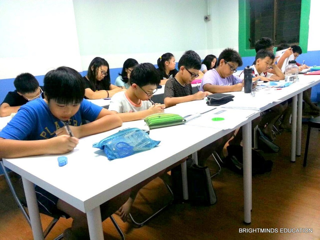 brightminds tuition class 10