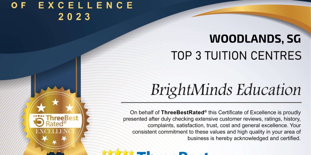 BrightMinds Award 2025